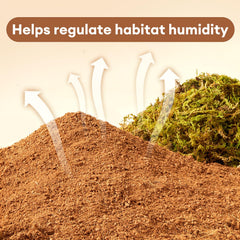 BUCATSTATE hamster nest moss texture supports natural digging and nesting.