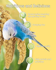BUCATSTATE sun-dried millet treats as natural bird snack