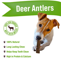 Buck Bone Organics deer antler chew highlighting natural shade and texture