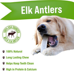 Buck Bone Organics elk antler chew β all-natural grade A, sustainable chew for teeth cleaning