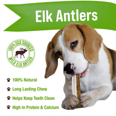 Buck Bone Organics elk antler chews, Rocky Mountain-sourced, sustainably produced