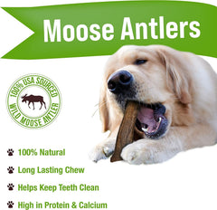 Buck Bone Organics Moose Antler Large Chew packaging highlights USA-sourced all-natural ingredients