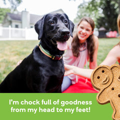 Buddy Biscuits ideal for aging dogs seeking gentle, chewy bites.