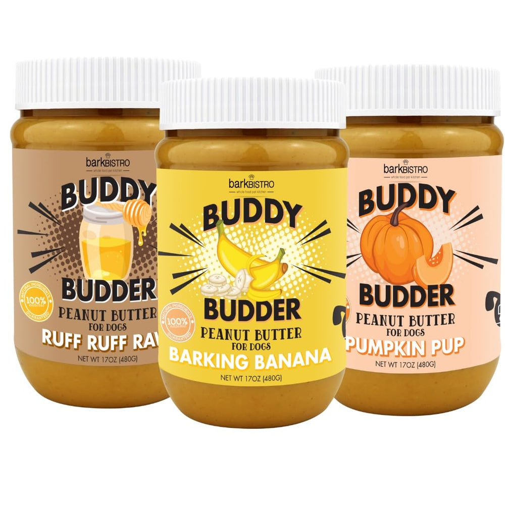 Buddy Budder Pumpkin Pup jar with creamy texture ideal for quick dog treats.