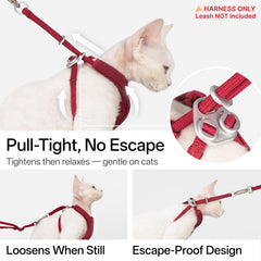 BuddyArmor escape-proof Y Shape harness back view with leash ring visibility.