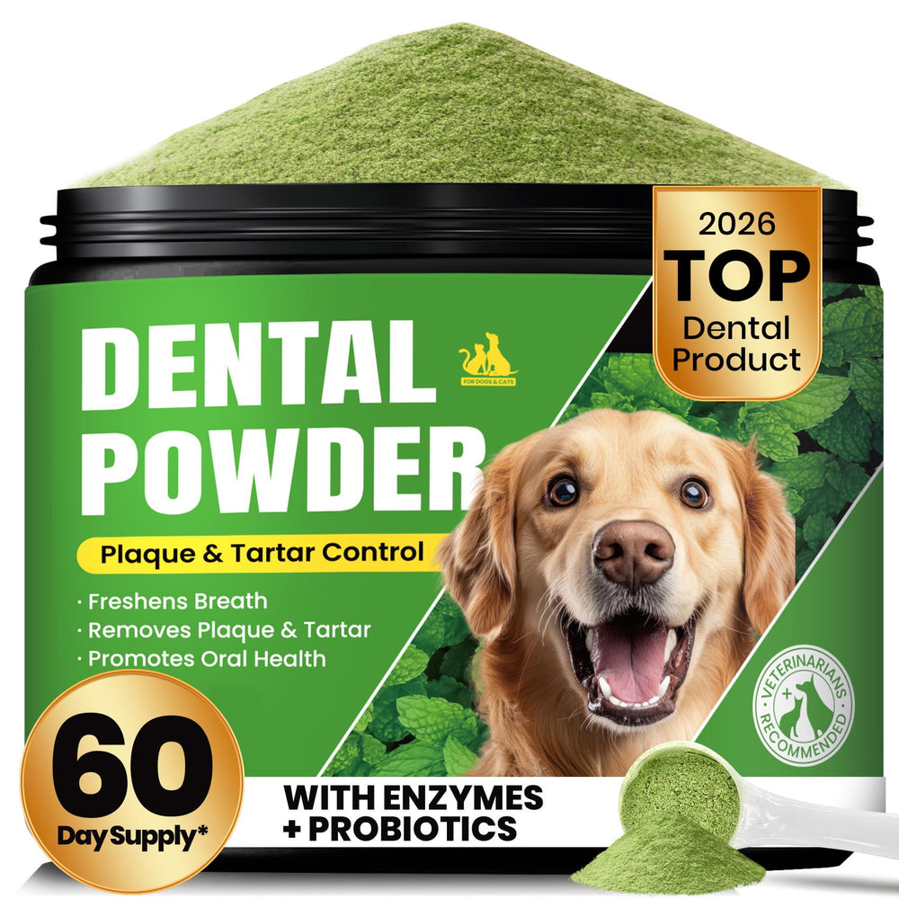 BuddyCheer dog teeth cleaning powder bottle poured for a fresh breath routine.