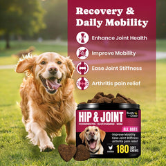 BuddyCheer wuffe joint chews senior dogs with enhanced mobility in daily activities