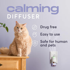 BuddyJoy six pack refills shown with packaging for long term multi cat peace of mind