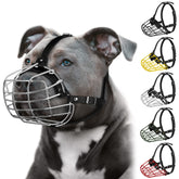BUDKAS Pitbull muzzle with metal mask for secure control during walks.