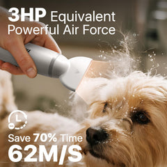 Buenkee quiet design delivers low-noise airflow for calm pets