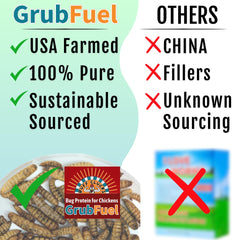 Buff Clucks GrubFuel closeup of dried larvae, high quality BSFL for digestion and resilience.