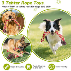 BUFOR hands-free design lets dogs play while reducing owner strain