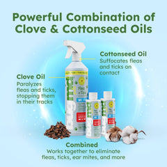 Dilution with water and BugMD concentrate for extended spray