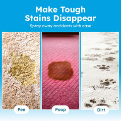 BugMD Enzyme Cleaner spray in action on a carpet stain.