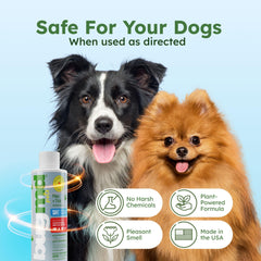 BugMD spray on kennel and play area surfaces