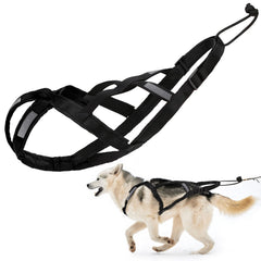 BuleVina dog pulling harness L neck pad closeup for comfort during sledge activities