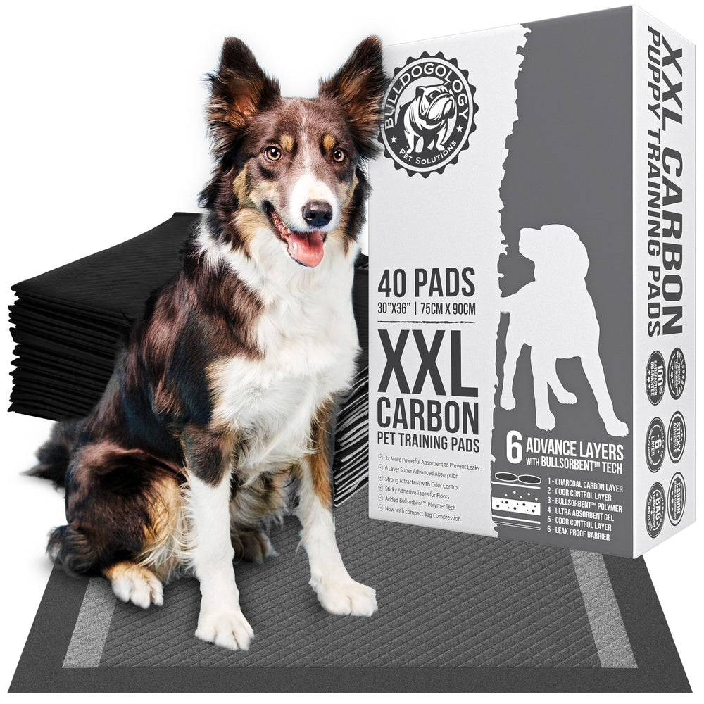 Bulldogology charcoal XXL pee pad 30x36 with secure adhesive tabs.