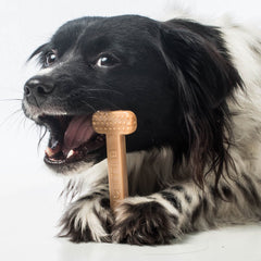 Bullibone dog chew with bacon flavor permeated through the bone for long-lasting taste.