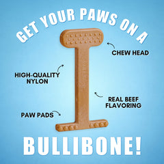 Bullibone nylon bone with beef flavor appealing to picky chewers during play.