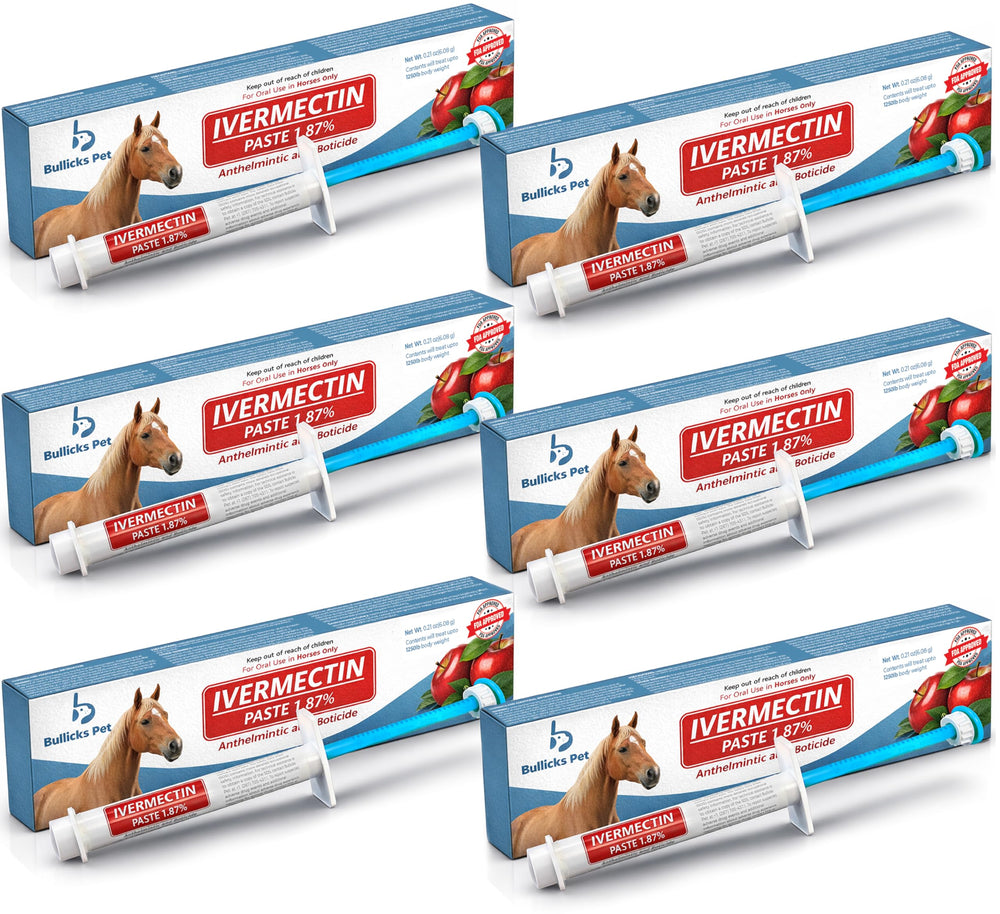 Bullicks Pet Ivermectin horse paste bottle ready for precise, easy dosing.