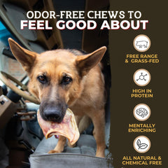 Bully Bunches hand-sorted ears ensure consistent quality and texture.