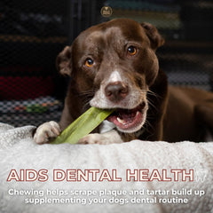 Bully Bunches yak chew 3-pack view shows value for busy households with dogs.