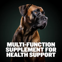 Bully Max nutrient-rich joint chews supporting mobility in dogs
