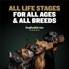 Bully Max Pro 2X chicken-flavor kibble close-up for all breeds.