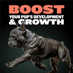 Serving scoop of Bully Max Puppy Vitamins ready as a food topper.