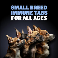 Bully Max chewable tablets shown beside dog treats for simple administration.