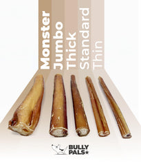 BULLY PALS 6-Inch Thin Bully Sticks close-up texture, easy for small mouths.