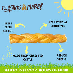 Bullysticks & More dog enjoying a chew of collagen braids during playtime.