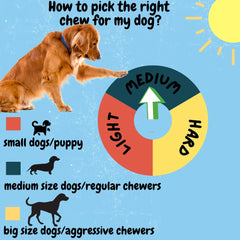 BULLYSTICKS & MORE high-protein dog chews, ideal for supplementing canine diets.
