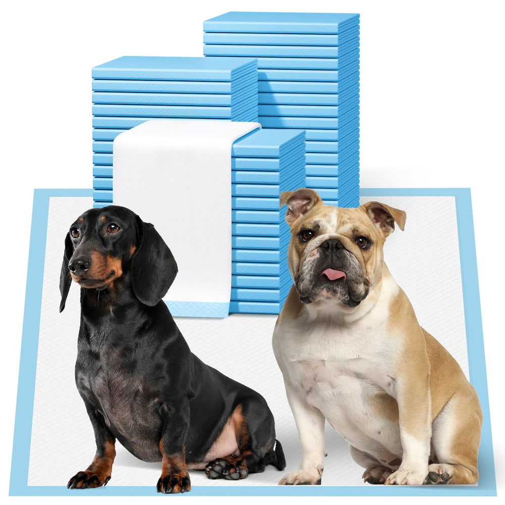 Bulubaky puppy pads front packaging demonstrates bulk supply for easy potty training.