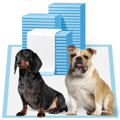 Bulubaky puppy pads front packaging demonstrates bulk supply for easy potty training.