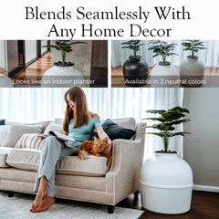 Bundle & Bliss patented faux planter design adds decorative privacy for your catβs space.