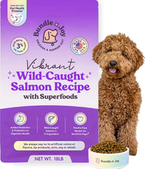 Bundle x Joy Vibrant Probiotic dog food bag front with real salmon first ingredient for dogs