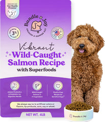 Bundle x Joy Vibrant Salmon Probiotic Dry Dog Food bag shows real salmon as the main ingredient.