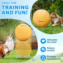 BurgeonNest yellow ball improves visibility for safer outdoor sessions.