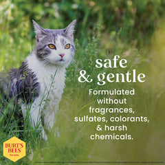 Burt's Bees for Pets cat wipes 50-count pack ideal for regular grooming