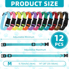 Buryeah adjustable neoprene-padded nylon collar for comfortable daily wear