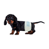 BV Dog Diapers Male Small pack with wetness indicator for easy monitoring