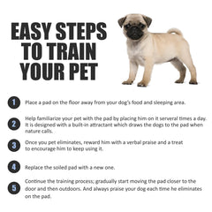 BV Puppy Pads XL leak-proof liner prevents leaks and protects floors.