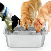 BWOGUE 4-Gallon large dog bowl for outdoor use, durable stainless steel.