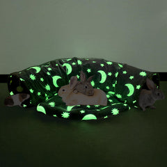 BWOGUE bunny-tunnel-bed-assembly highlights a cozy, space-saving hideout for small pets.