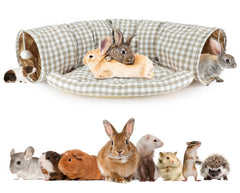 BWOGUE Bunny Tunnel Bed collapsible design for portable play and rest