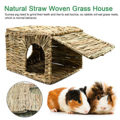BWOGUE pet-safe durable hut—protects paws and supports safe access.