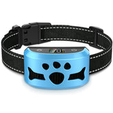 BXQ anti-bark collar during an outdoor walk for humane training.
