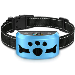 BXQ anti-bark collar during an outdoor walk for humane training.
