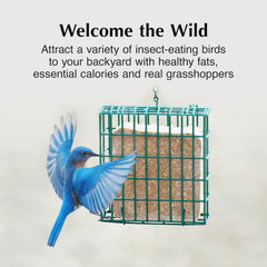 C&S Insect Delight No Melt Suet Dough contains grasshoppers and peanuts.